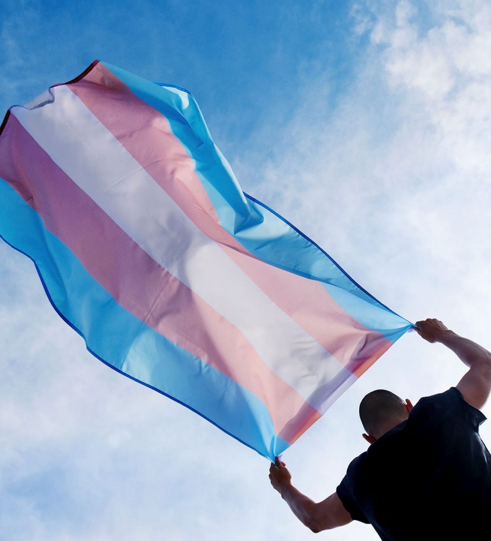 Transgender flag bigger image dr veerle rotsaert